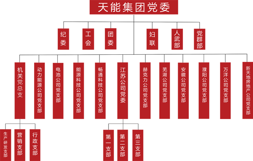 杏彩体育建团党委组织架构